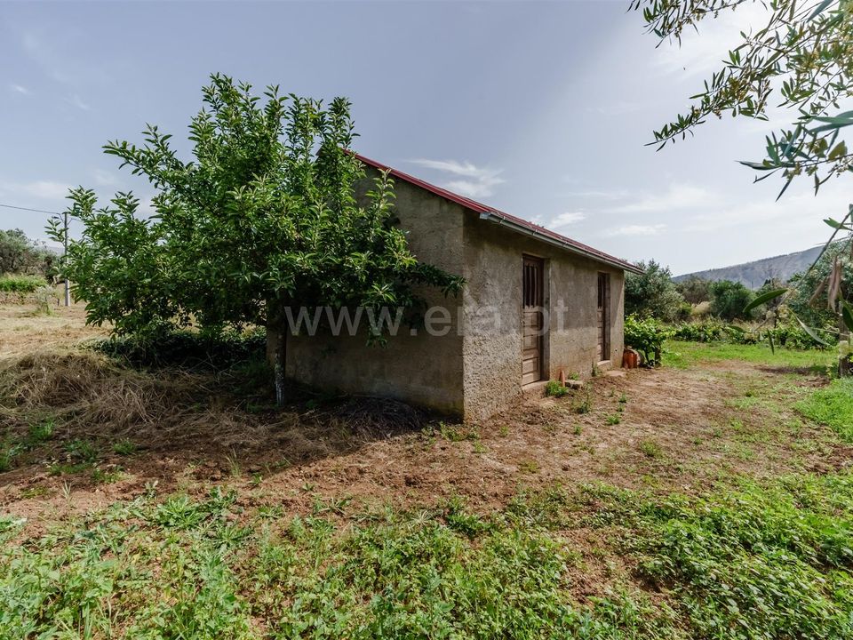 Helårsgrund i Covilha, Castelo Branco - foto 5