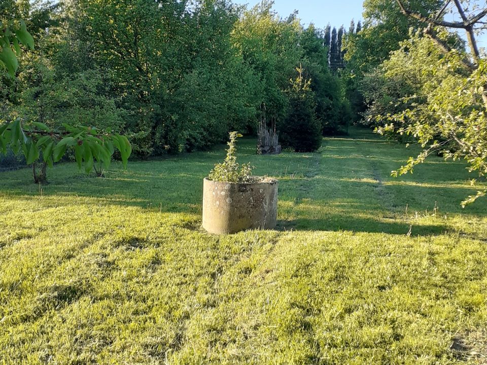 Villa i Pargny-sur-Saulx, Marne - foto 3