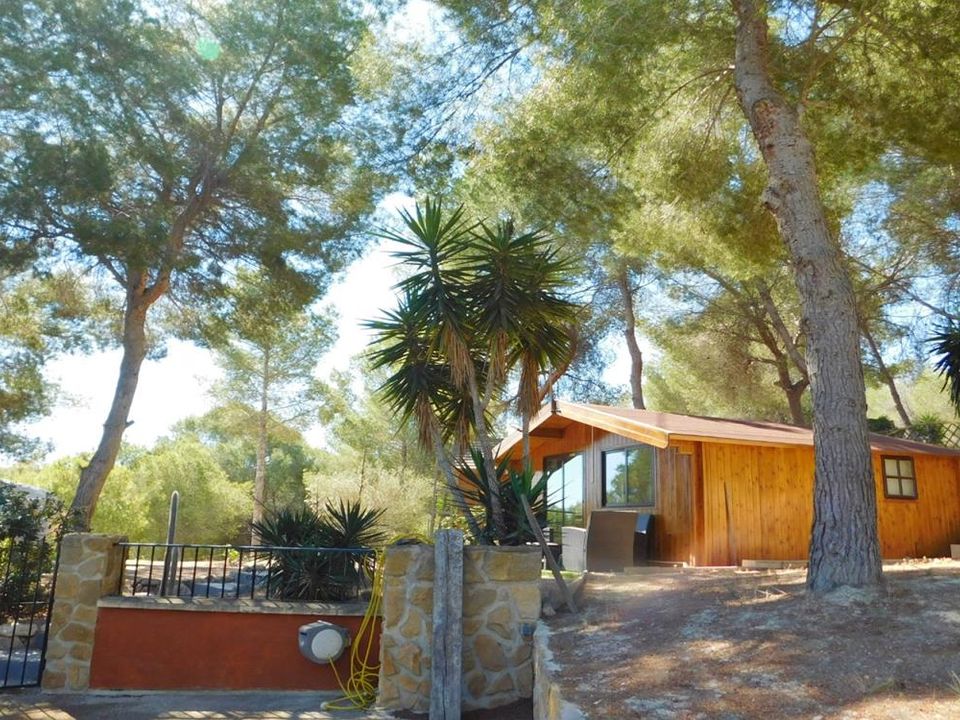 Træhytte i Torremendo, Alicante - foto 4