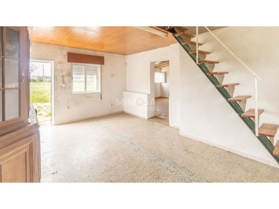 Farm i Lagos, Faro - foto 4