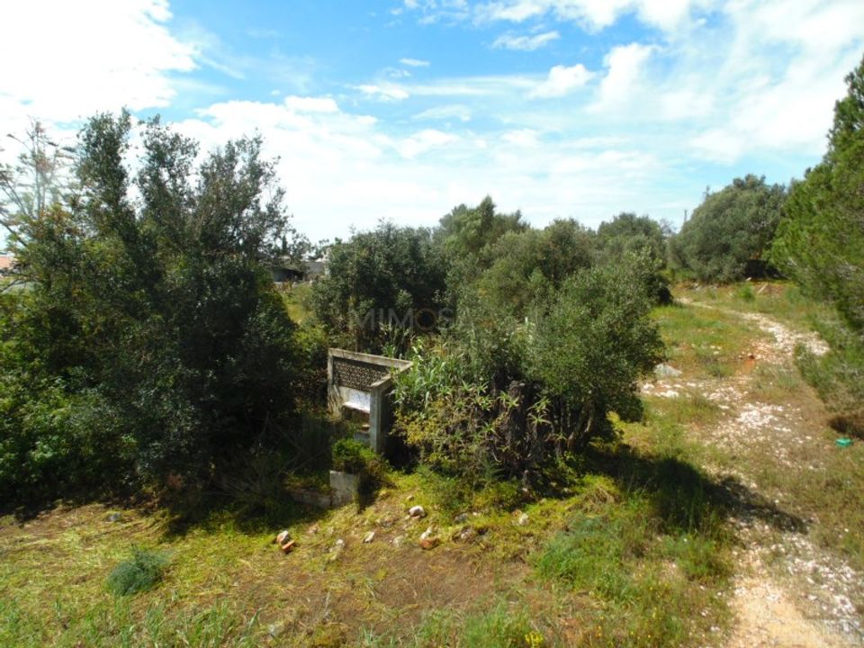 Helårsgrund i Mexilhoeira Grande, Faro - foto 3