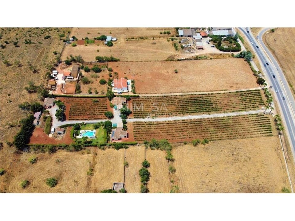 Farm i Luz, Faro - foto 2