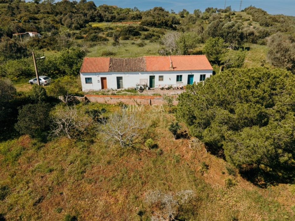 Farm i Lagos, Faro - foto 3