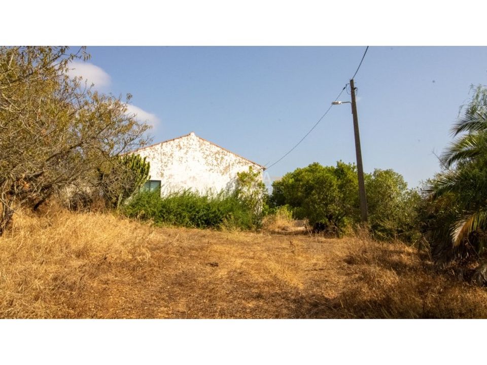 Farm i Lagos, Faro - foto 4