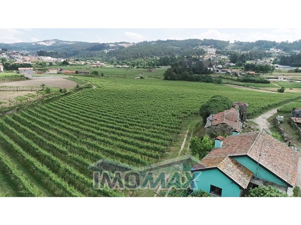 Farm i Valpedre, Porto - foto 2