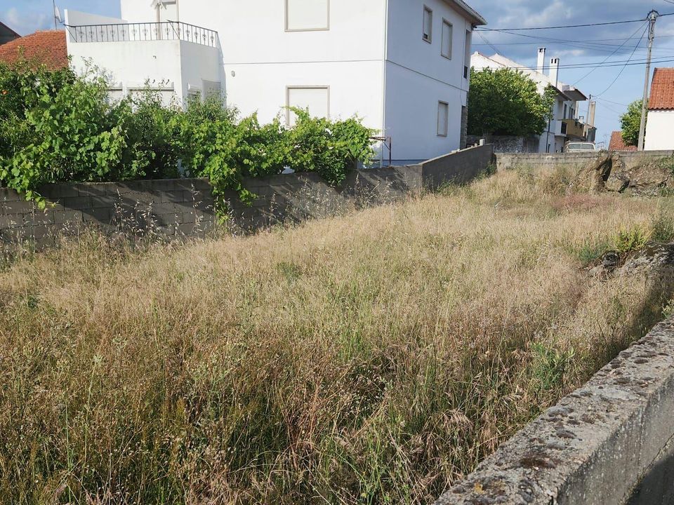 Tomt i Escalos de Cima e Lousa, Castelo Branco - bilde 4