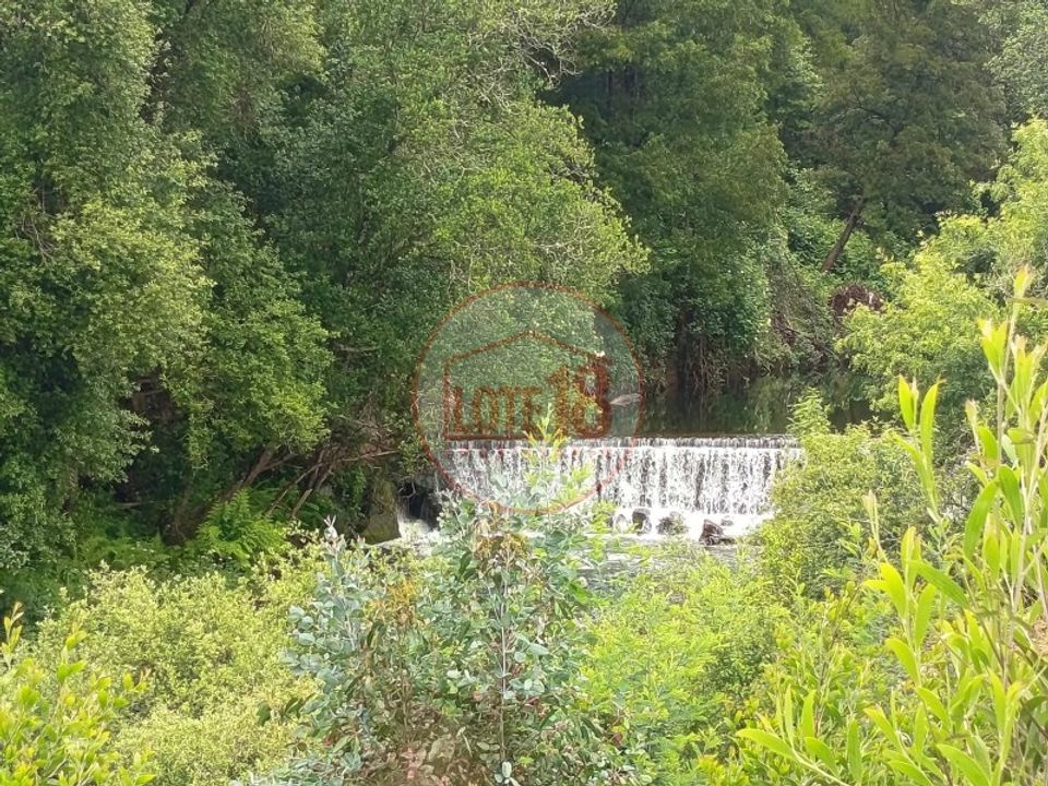 Farm i Oliveira de Azemeis, Aveiro - foto 2