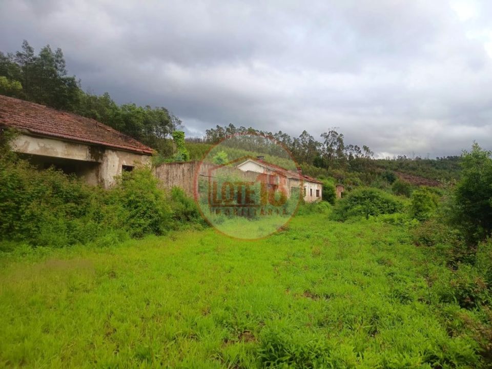 Farm i Oliveira de Azemeis, Aveiro - foto 3