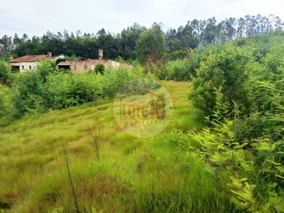 Farm i Oliveira de Azemeis, Aveiro - foto 4