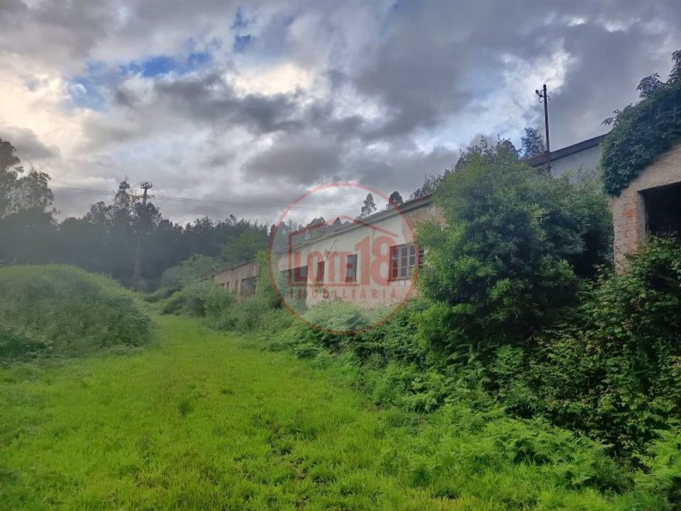 Farm i Oliveira de Azemeis, Aveiro - foto 5