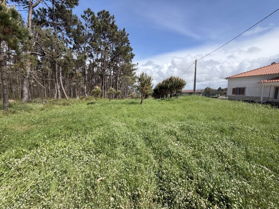 Helårsgrund i Santo Onofre e Serra do Bouro, Leiria - foto 3