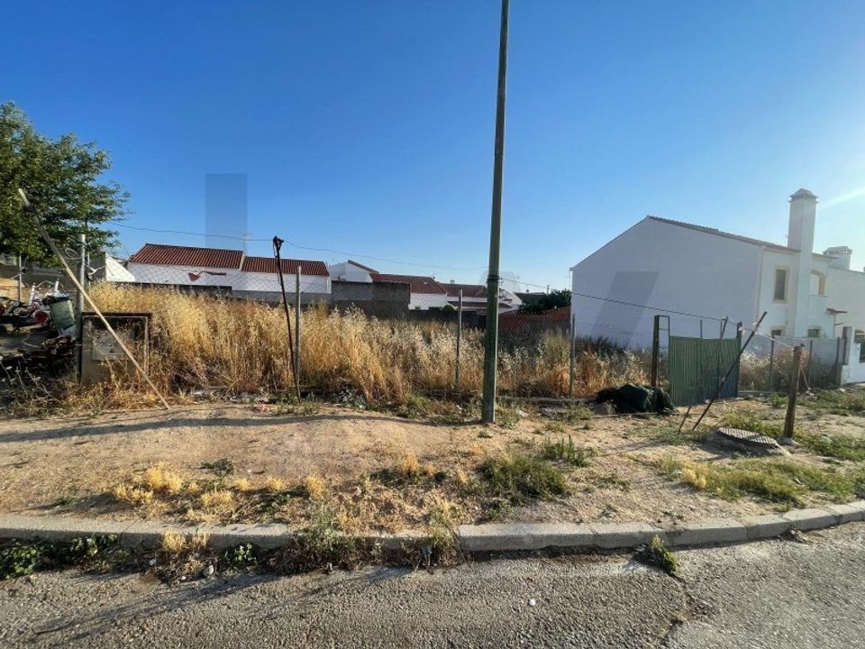 Terra a Moura, Beja - foto 5