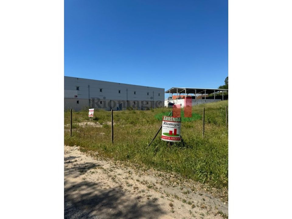 Helårsgrund i Rio Maior, Santarem - foto 4