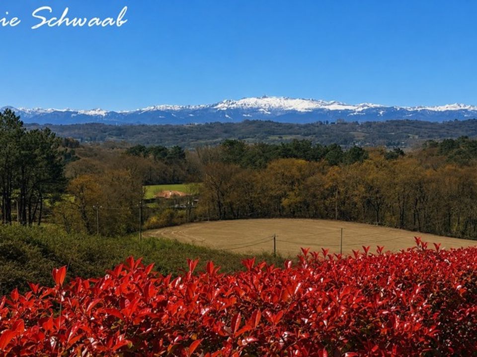 Villa i Habas, Landes - foto 5