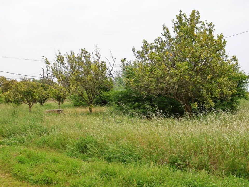 Farm i Bensafrim, Faro - foto 3