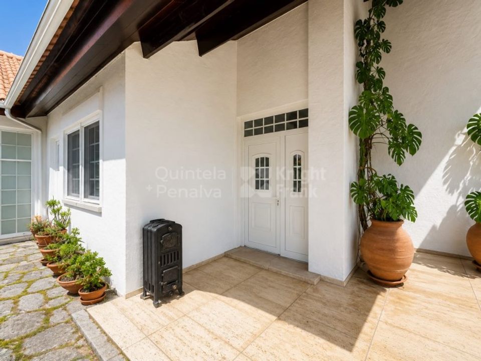 Farm i Brejos de Azeitao, Setubal - foto 3