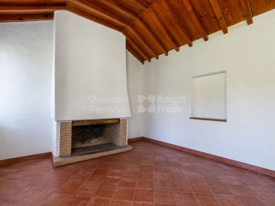 Farm i Brejos de Azeitao, Setubal - foto 5