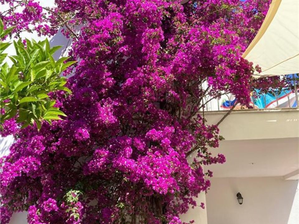 Villa i San Vito Chietino, Chieti - foto 3