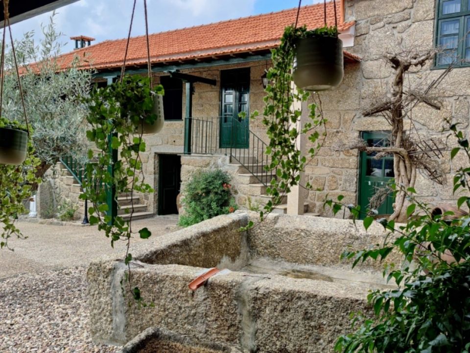 Farm i Castelo de Paiva, Aveiro - foto 1