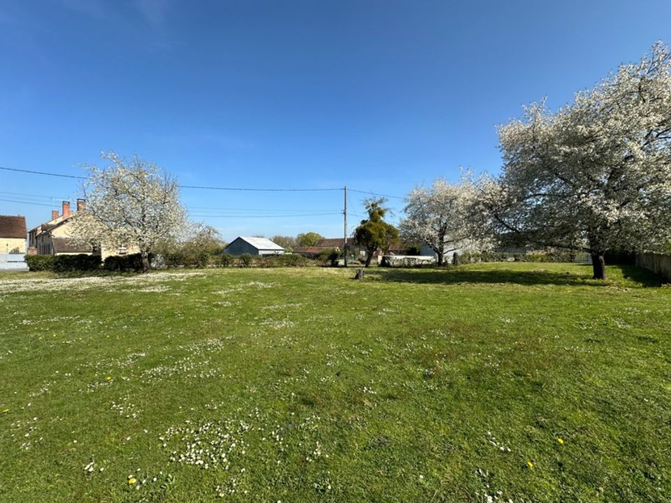 Farm hus i Griselles, Loiret - foto 4