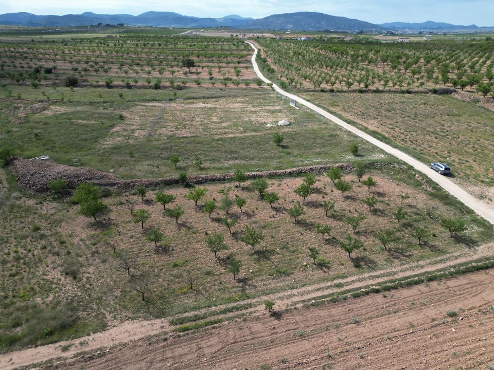Helårsgrund i Pinoso, Alicante - foto 1