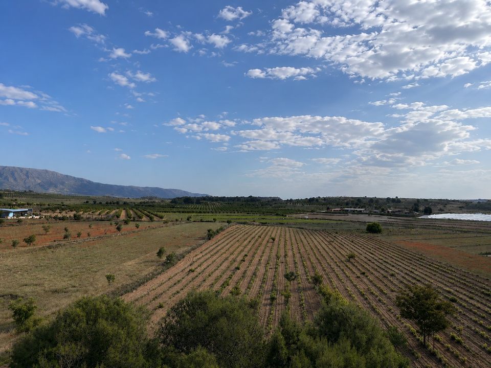 Helårsgrund i Pinoso, Alicante - foto 3