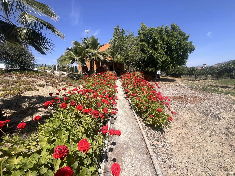 Cortijo i Cartama, Malaga - foto 2