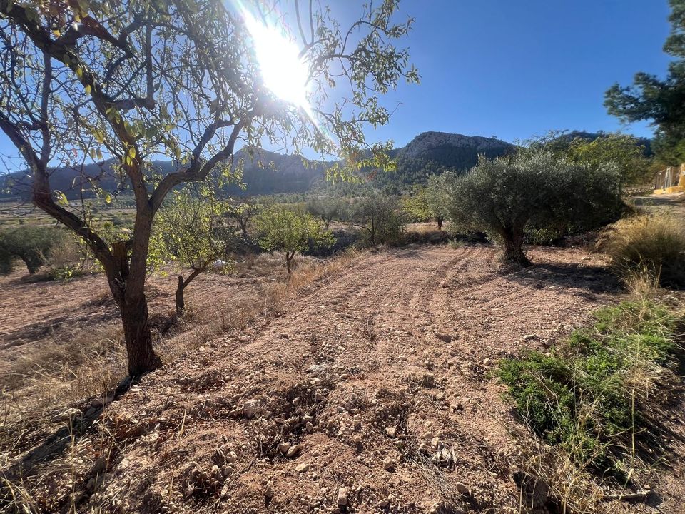 Byhus i La Zarza, Murcia - foto 2