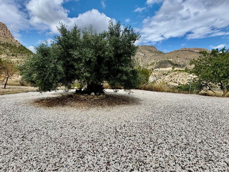 Villa i Relleu, Alicante - foto 5