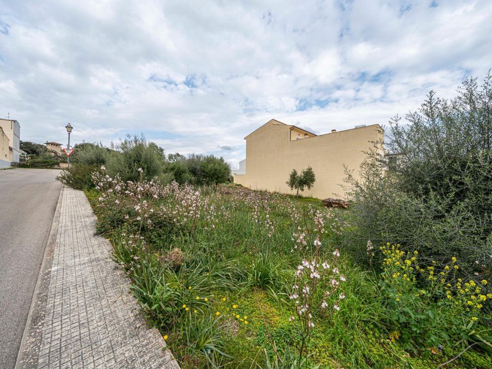 Helårsgrund i Sant Llorenc Des Cardassar, Mallorca - foto 2
