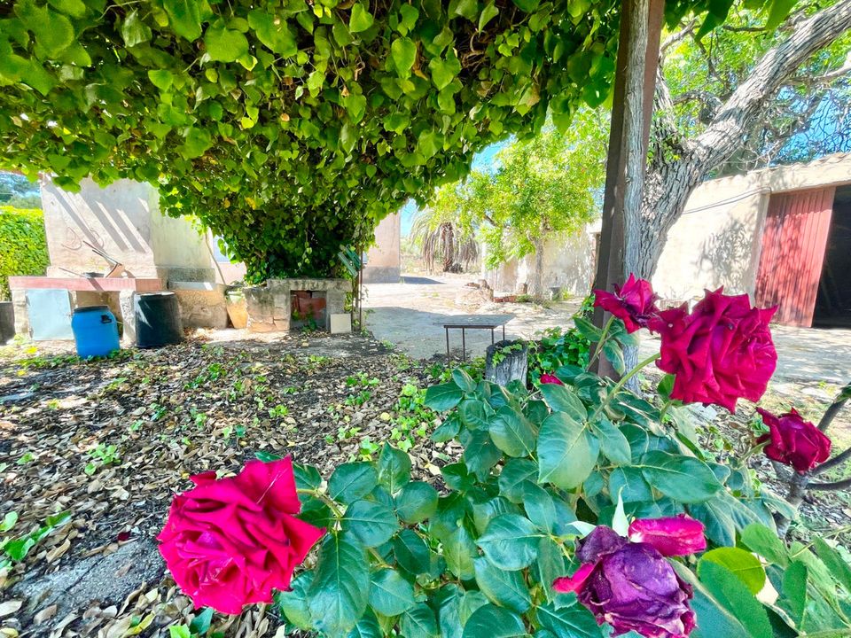 Villa en La Romana, Alicante - foto 5