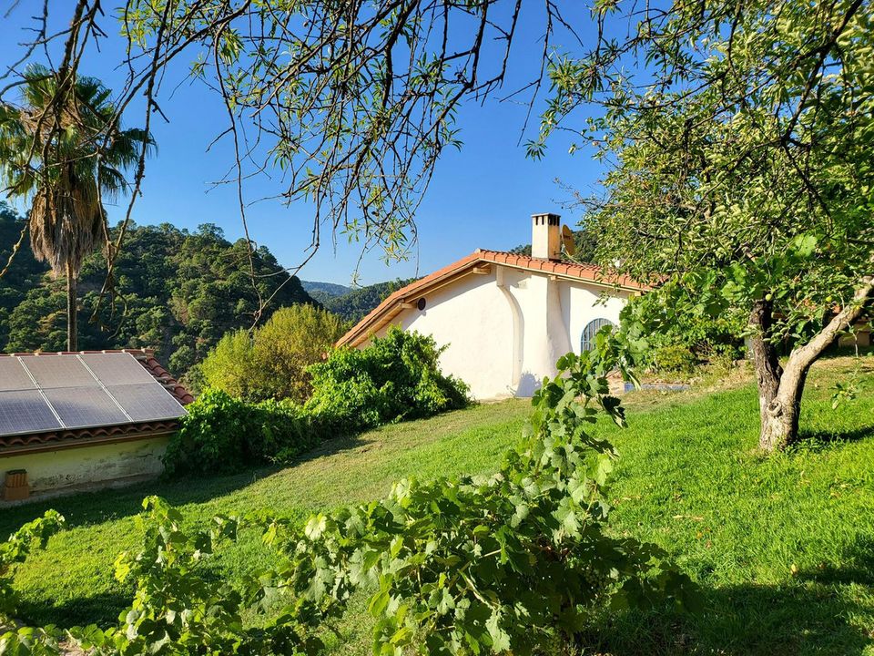 Finca i Genalguacil, Malaga - foto 2