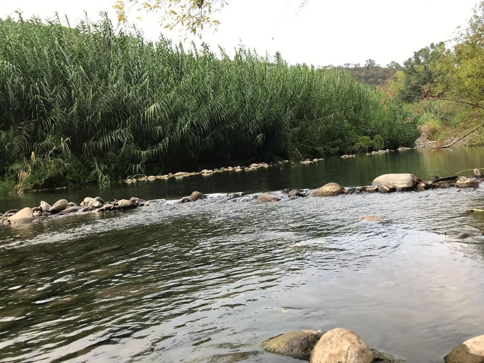 Finca i Genalguacil, Malaga - foto 3