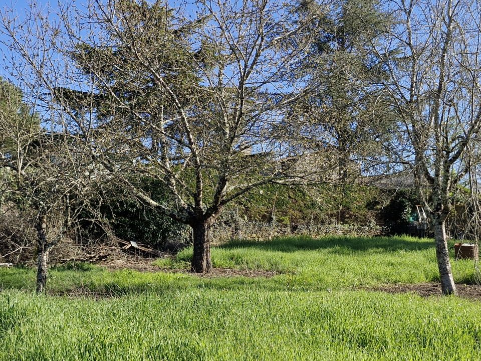 Landsbyhus i Gensac, Gironde - foto 3