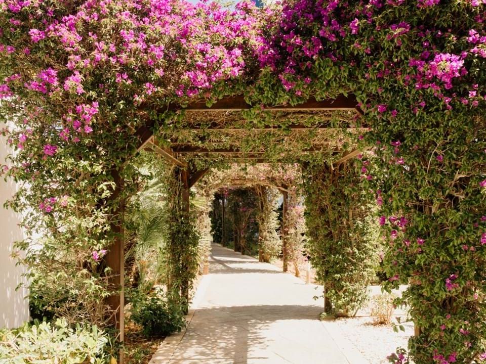 Lejlighed i Santa Eulalia Del Rio, Ibiza - foto 2
