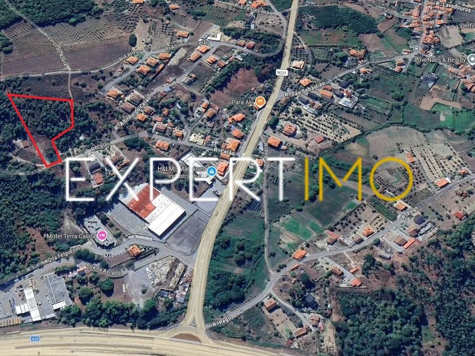 Terra a Viseu, Viseu - foto 3