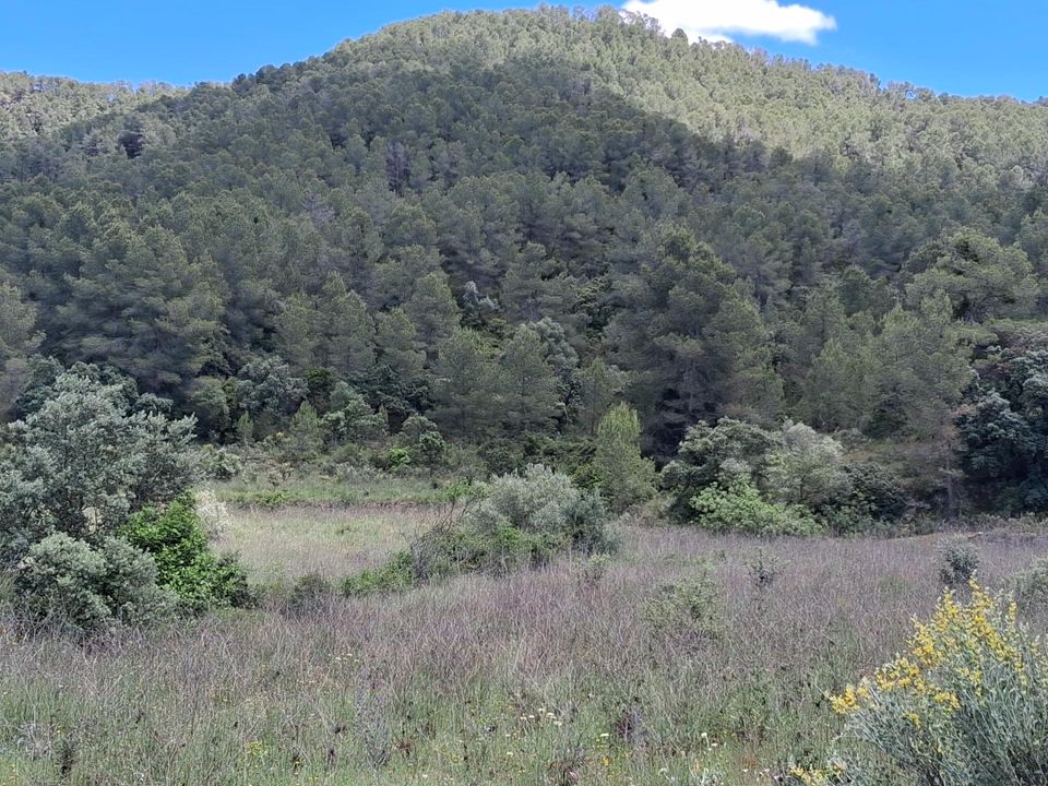 Helårsgrund i Rasquera, Tarragona - foto 1