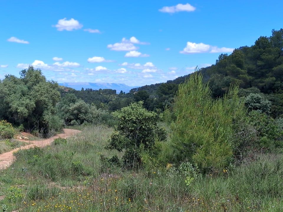 Helårsgrund i Rasquera, Tarragona - foto 2