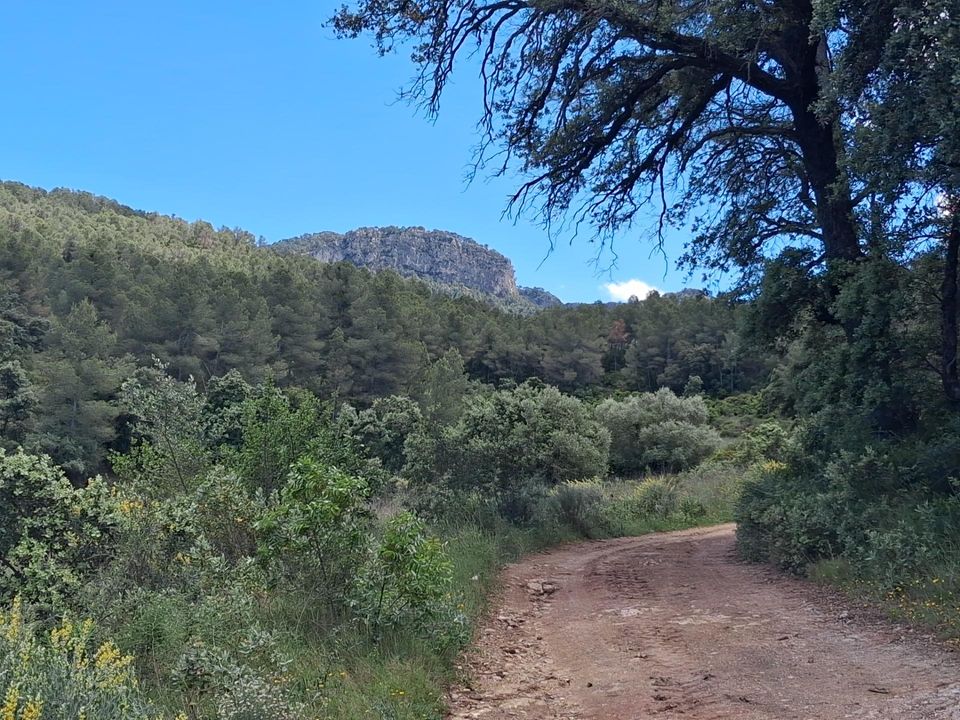 Helårsgrund i Rasquera, Tarragona - foto 3