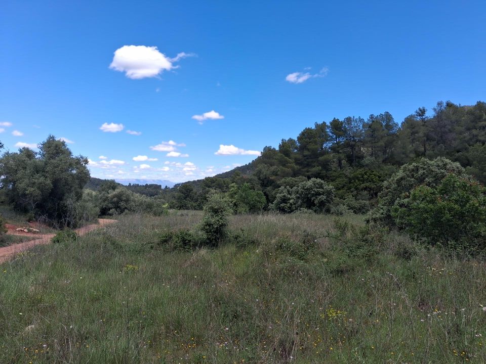 Helårsgrund i Rasquera, Tarragona - foto 4