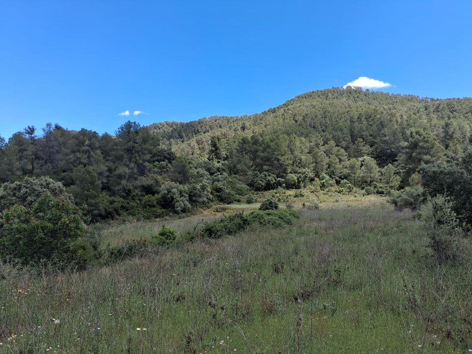 Helårsgrund i Rasquera, Tarragona - foto 5