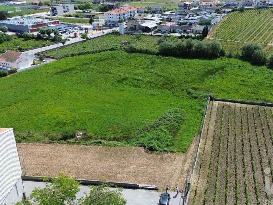 Helårsgrund i Alijo, Vila Real - foto 5