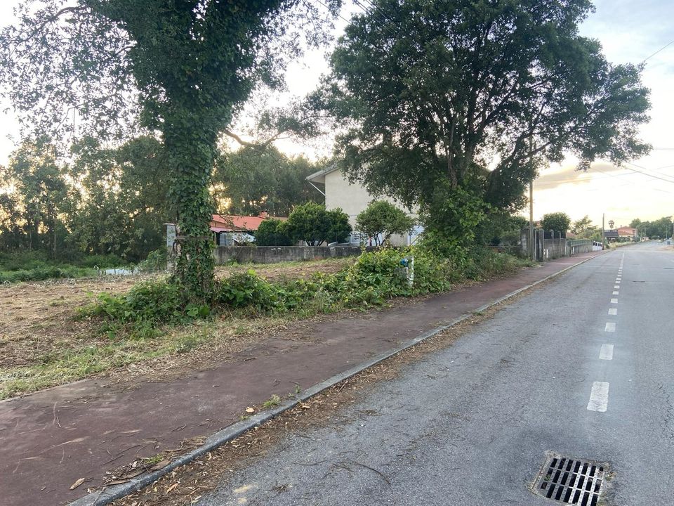 Helårsgrund i Anadia, Aveiro - foto 3