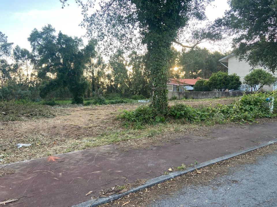 Helårsgrund i Anadia, Aveiro - foto 4