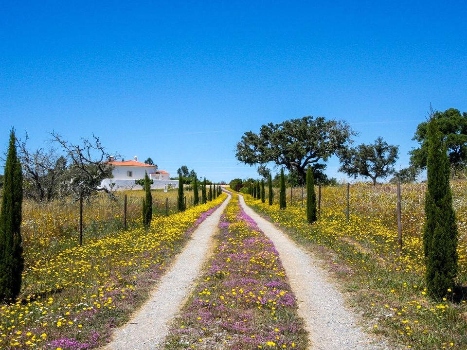 Villa i Ourique, Beja - foto 5