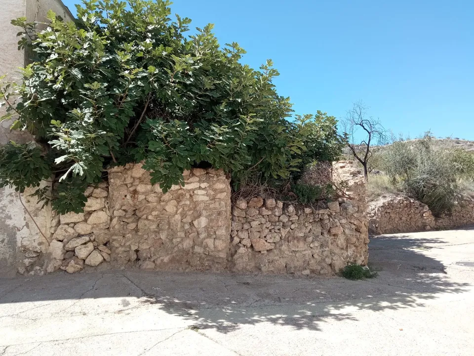 Tomt i Turon, Granada - bilde 1