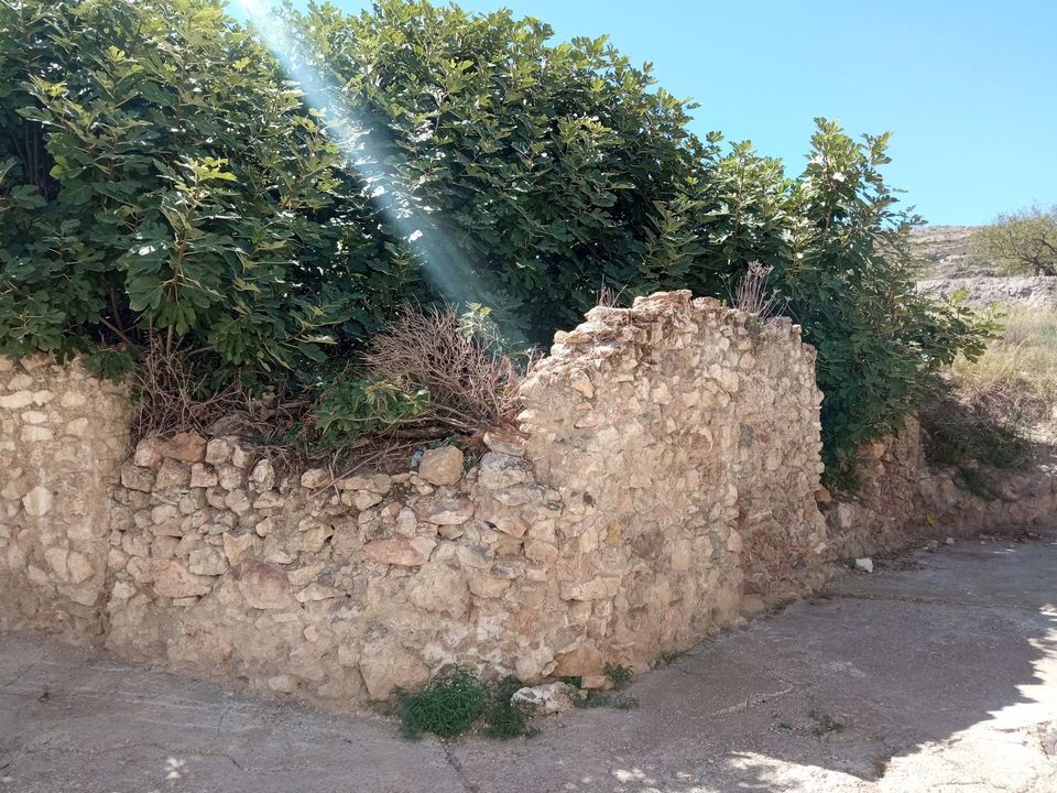 Tomt i Turon, Granada - bilde 2