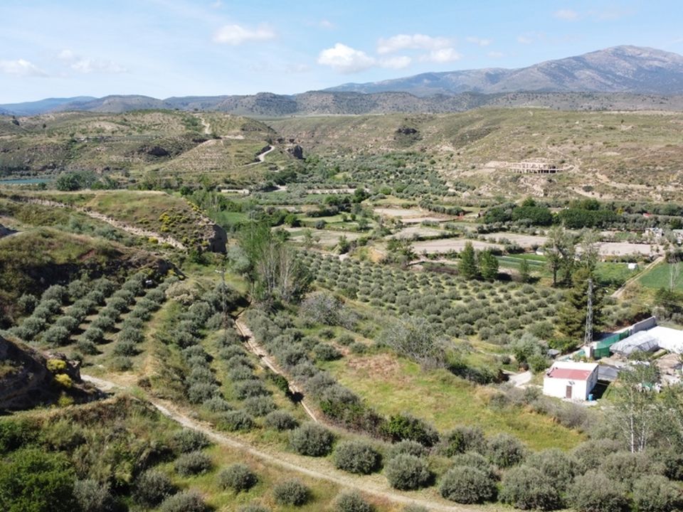 Cave house i Caniles, Granada - foto 5