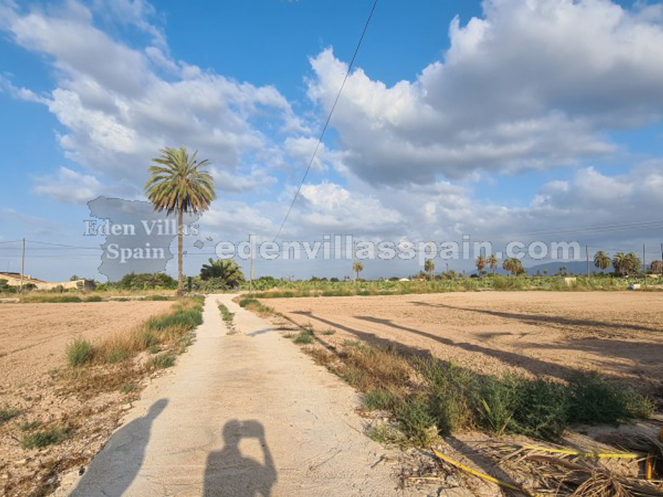 Finca i La Hoya, Alicante - foto 5