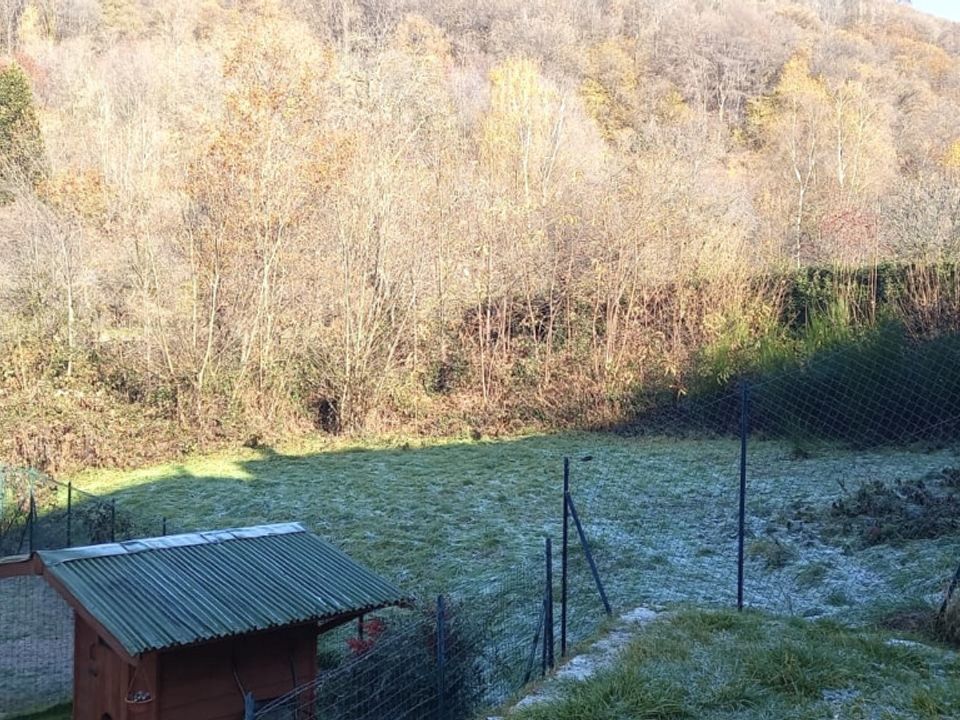 Helårsgrund i Nebbiuno, Novara - foto 1